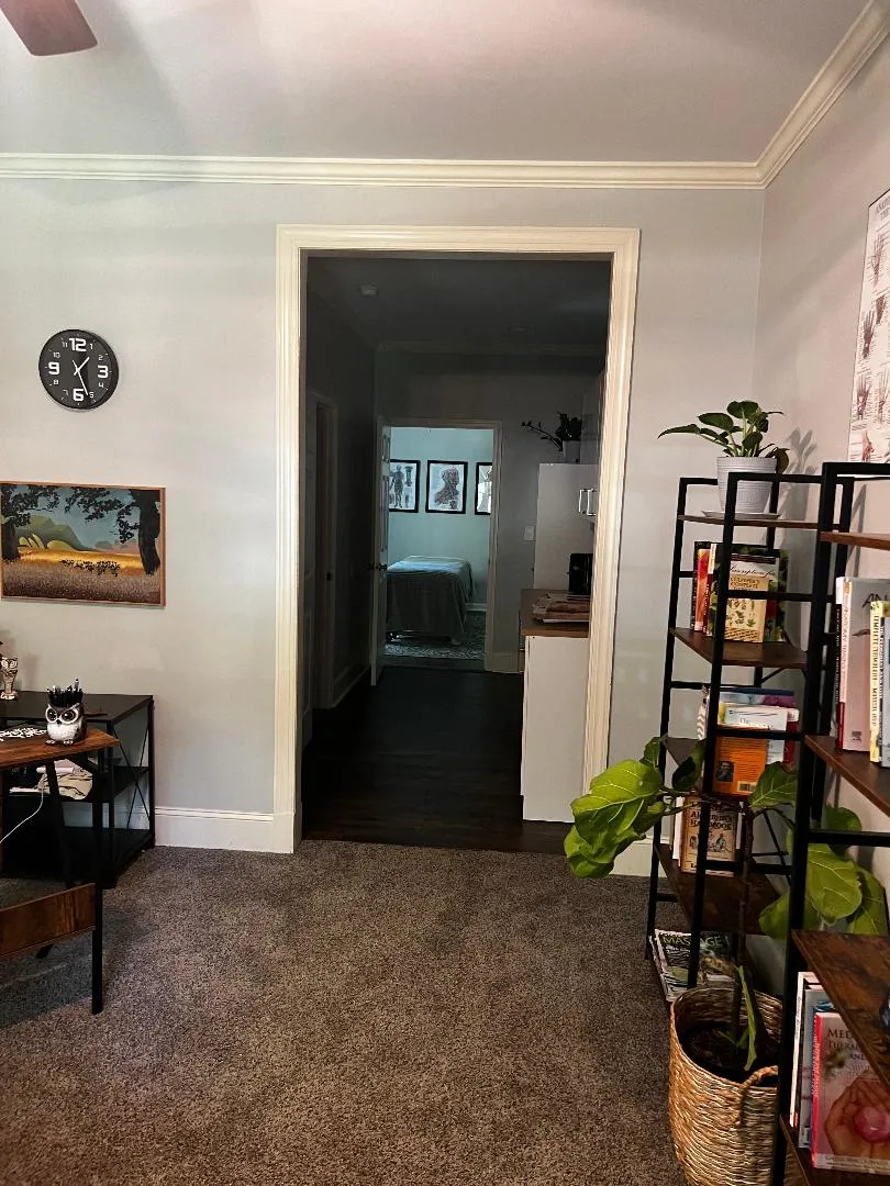 The lobby with plants, bookshelves and a waiting chair